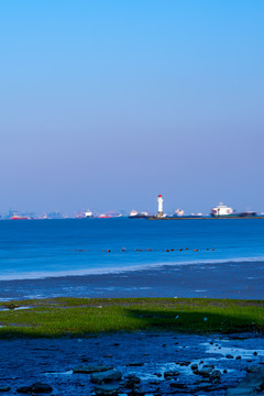 上海宝山吴淞炮台湾国家湿地公园