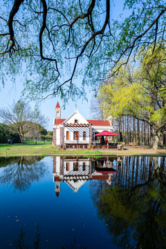 上海共青國家森林公園景觀