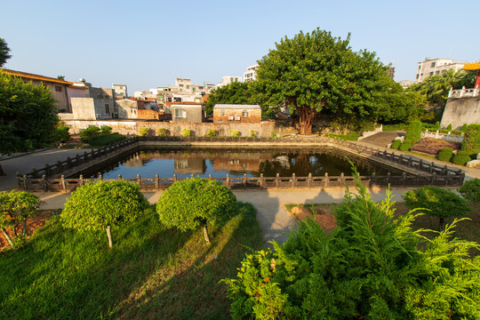 广东湛江市雷州县三元塔公园池塘