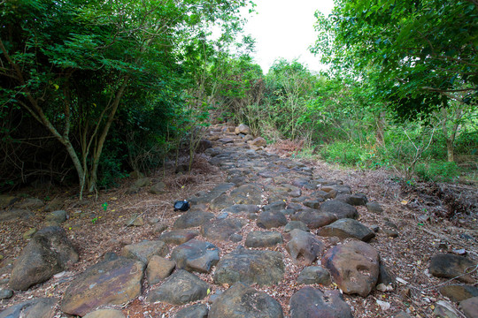 湛江市徐闻县龙泉森林公园石道