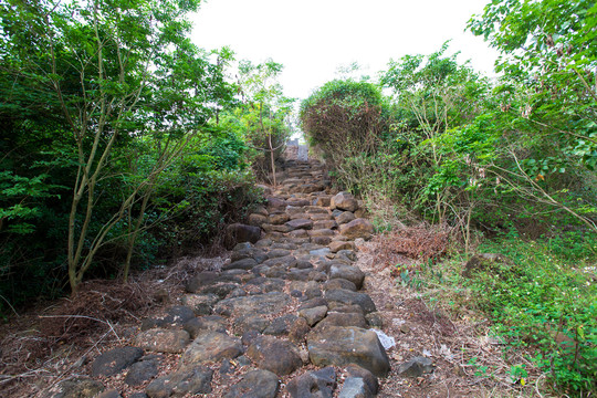 湛江市徐闻县龙泉森林公园石道