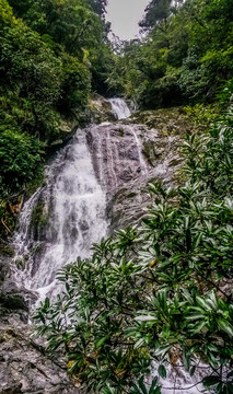 高山溪流