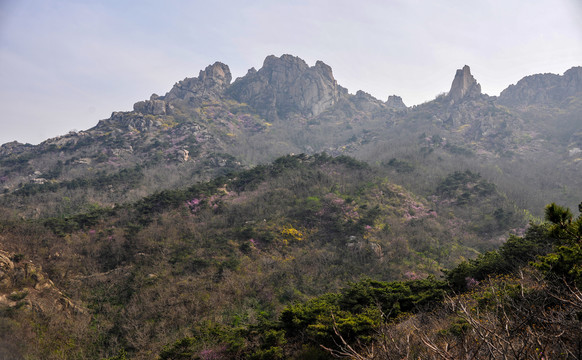 青岛大珠山