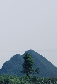 青山