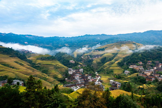 阳朔梯田