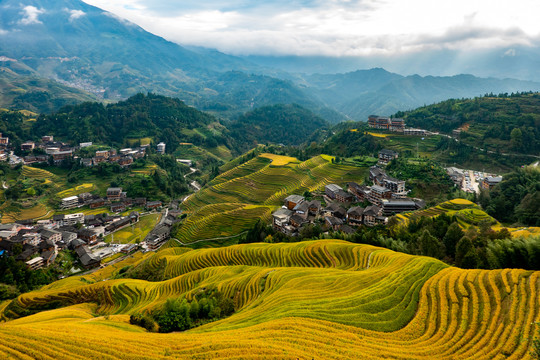 阳朔梯田