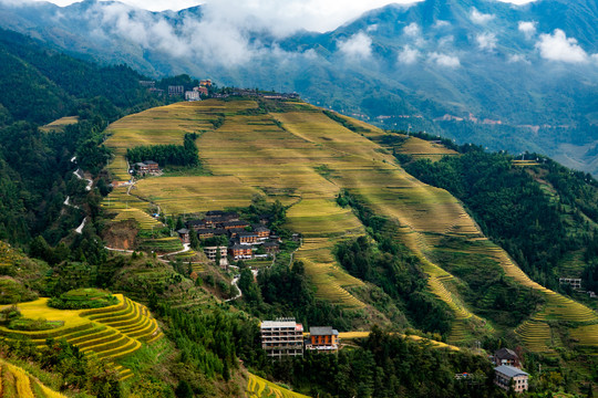 阳朔梯田