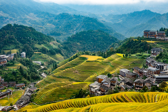 阳朔梯田