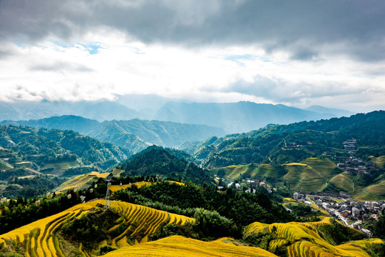 阳朔梯田