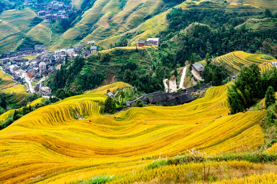 阳朔梯田