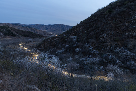 山中小路