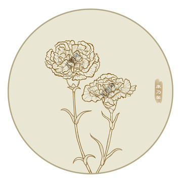 線描康乃馨
