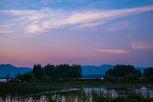 暮色湿地风光