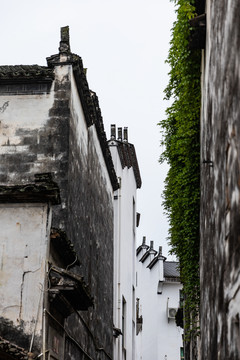 婺源思溪村