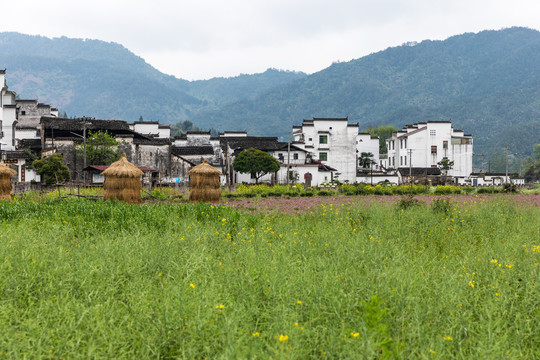 婺源沱川乡