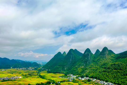 万峰林油菜花田