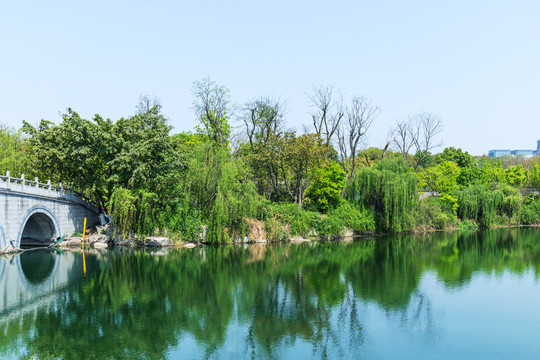 成都锦城湖公园湖景