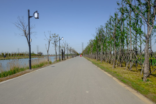 道路两边的风景