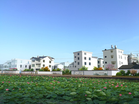 農(nóng)村改造