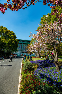 上海世博公园后滩湿地公园