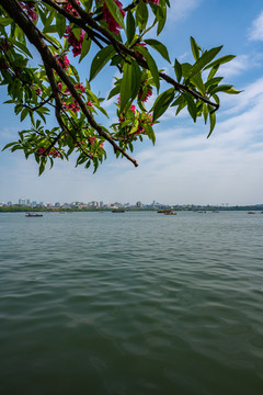 浙江杭州西湖风景区