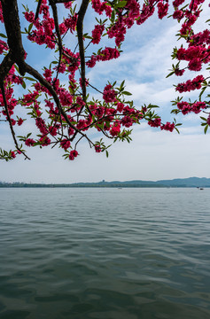 浙江杭州西湖风景区