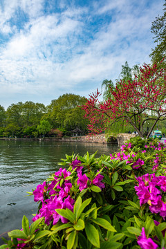 浙江杭州西湖风景区