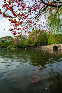 浙江杭州西湖风景区