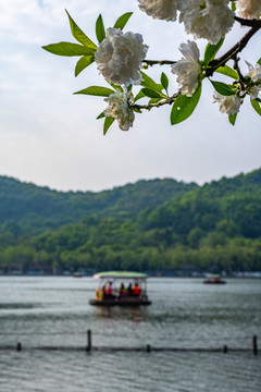 浙江杭州西湖风景区