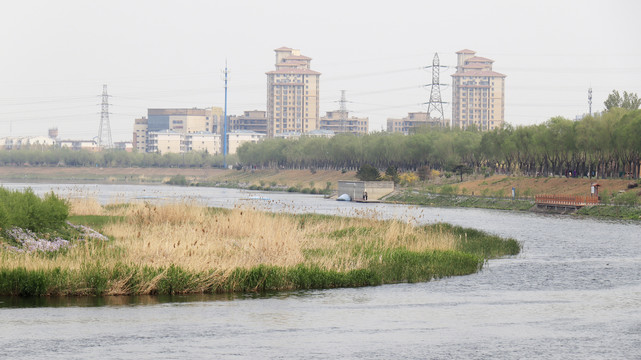 北京城市风光北京凉水河