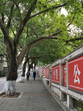 重庆师范大学