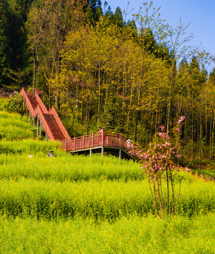 乡村风光