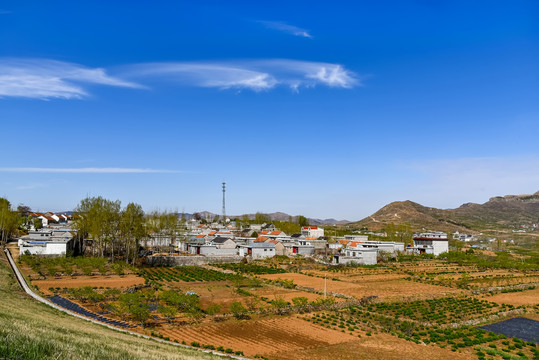 沂蒙山区