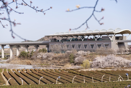 地铁站台