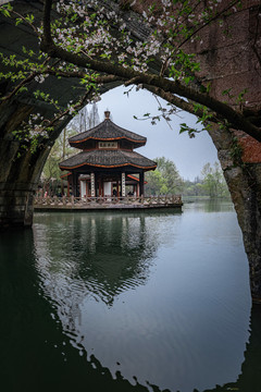 杭州西湖茅家埠春季樱花风景