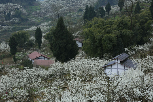 重庆渝北印盒