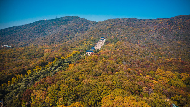 中山陵