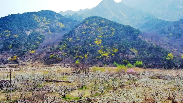 青山绿水