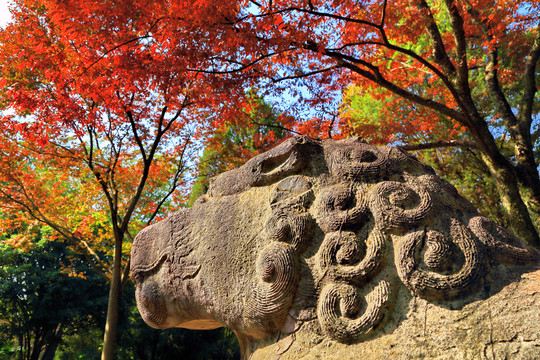 南京明孝陵神道秋景