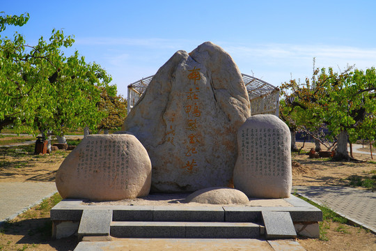 大兴庞各庄梨花村万亩梨园