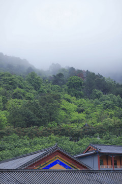 雨中寺庙