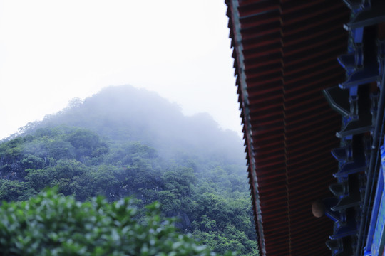 雨中寺庙