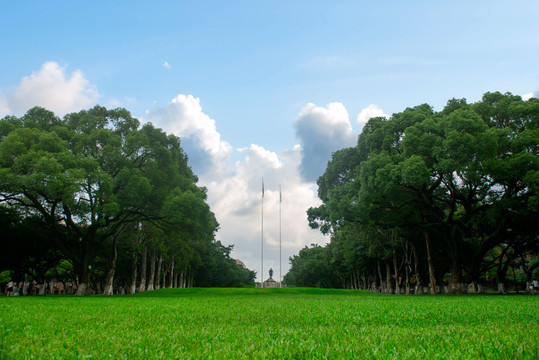 中山大学草坪