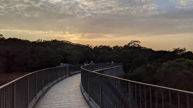 香港太平山景观