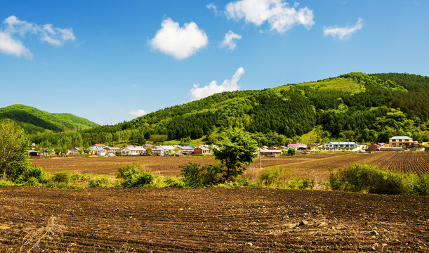 远山乡村农田