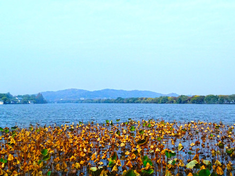 西湖十景