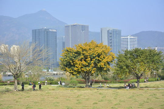 花海公园