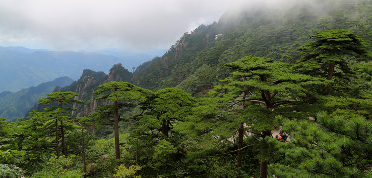 黄山风光