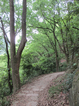 张飞古道景区