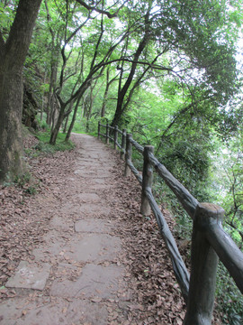 张飞古道景区